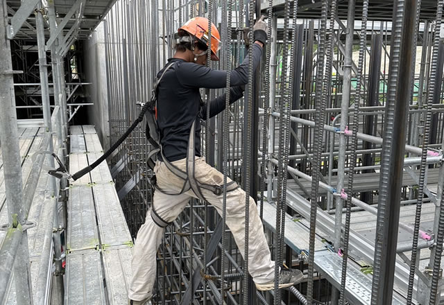 実習生受け入れ