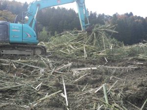 土木工事　伐採